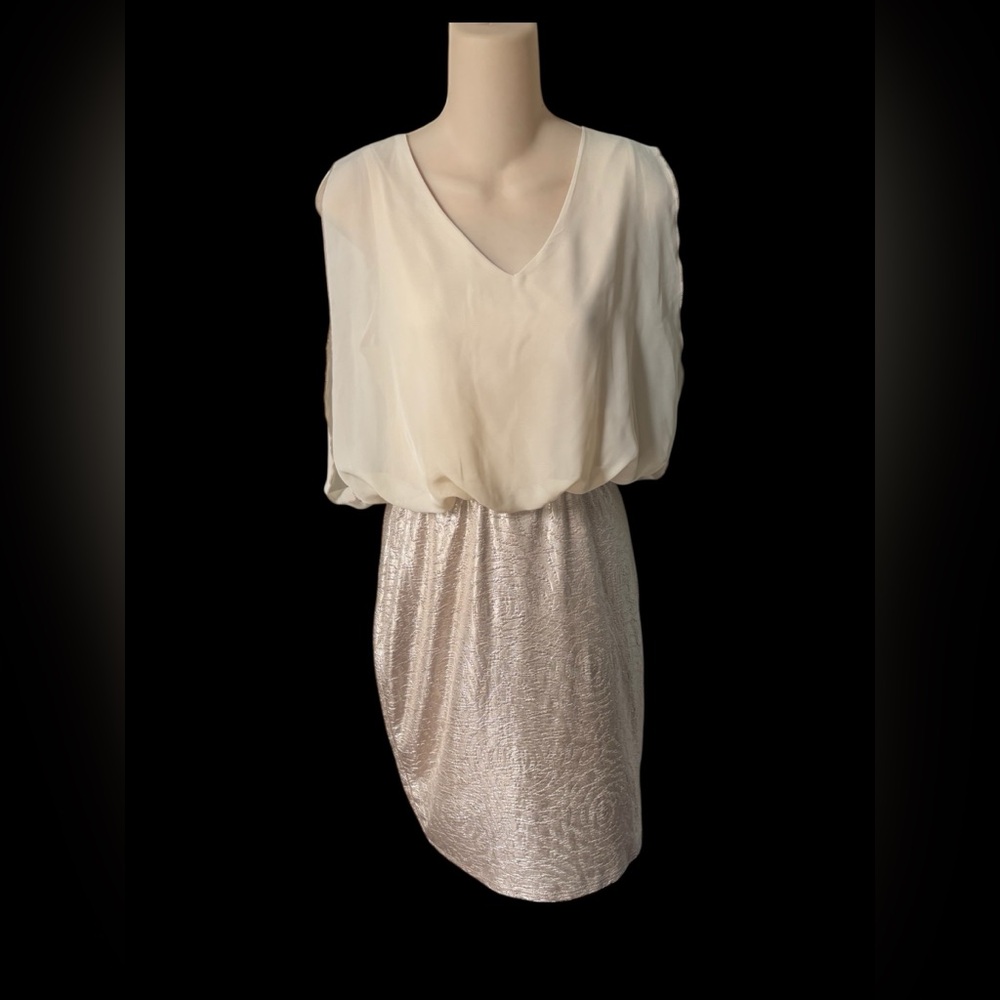 Elegant Cream and Gold Dress